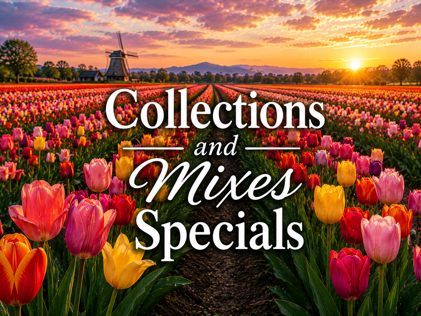Collections and Mixes Specials